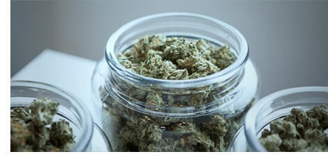 aphria-1