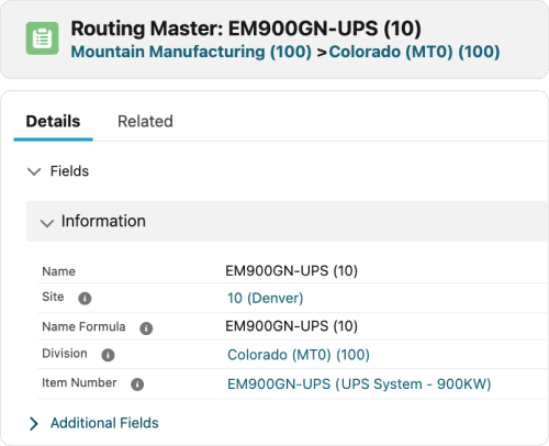 Routing-Master-Information-Feature